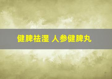 健脾祛湿 人参健脾丸